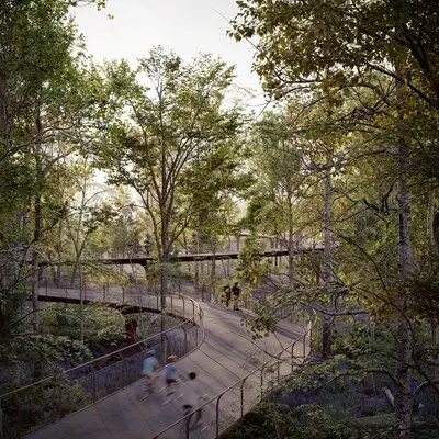 Wandelen en fietsen tussen de kruinen van de bomen op de Wielewaal