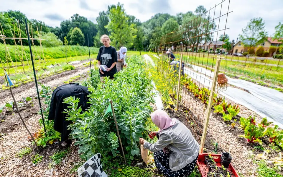 Plan: Kalverdijkje wordt Leeuwarder stadspark,  Dokkumer Ie en Emmakade krijgen fietsbruggen