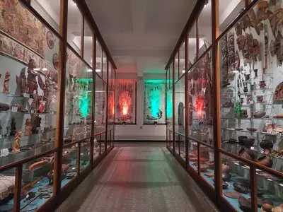 Missiemuseum Steyl verandert bizarre tentoonstelling voor het eerst sinds 1931