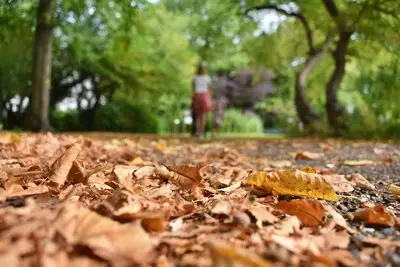 Blijft het rustig en droog? Dit is de weersverwachting voor oktober