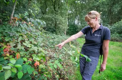 De ecologe is blij: boomkikkers keren terug tussen Breda en Tilburg