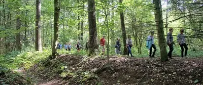 Ontdek het Broeders- en Bakelsbos tijdens gratis wandeling in Helmond