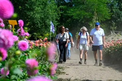 Nationale Wandeluitdaging start in Helmond