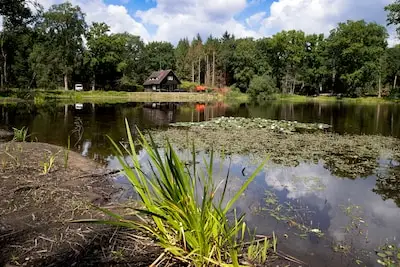 Landgoed De Wielewaal opent voor het eerst in Eindhoven
