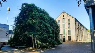 Heeft Tilburg stiekem al een monument voor textielarbeiders, of is dit ‘een eerbetoon aan tuincentra’?