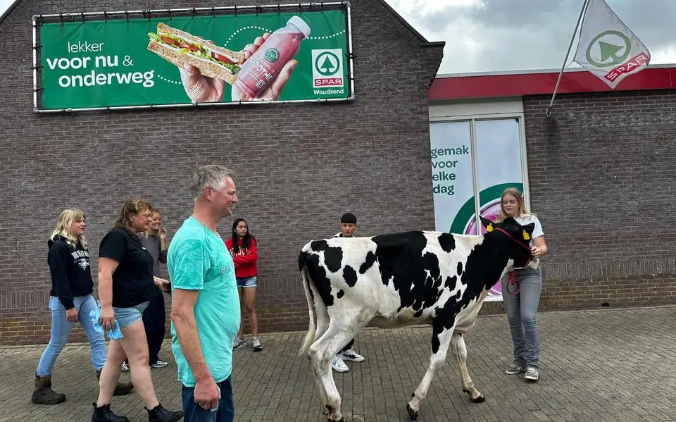 Jongeren maken eigen film: koe eindigt in supermarkt Woudsend