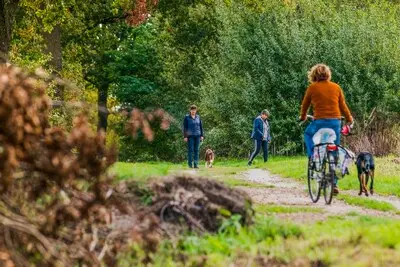 Meerderheid politiek Geldrop-Mierlo voor handhaven hondenbelasting: uitlaatstroken verdwijnen
