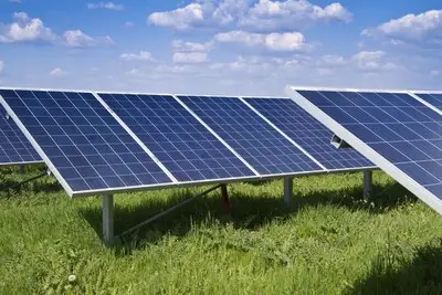 ZLTO: Cranendonck schendt eigen beleid met zonnepark op waardevolle teelgrond
