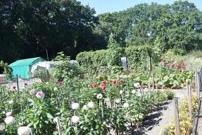 Stadswandelingen en volkstuinen verkennen: dit doe je tijdens Maand van de Geschiedenis in Tilburg