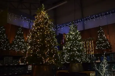 Jingle all the way naar het tuincentrum: dit is wanneer de kerstshows in Tilburg beginnen