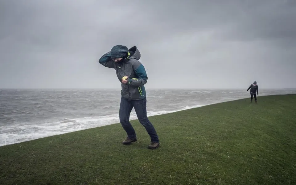 Herfstweer pakt door: het regent en waait al flink maar ook de temperatuur gaat omlaag