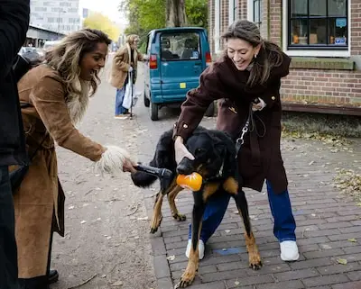 LIVE Verkiezingen 2025 | Hond van VVD-leider pakt plopkap • Moeder (92) van raadslid stemt niet door kapotte lift