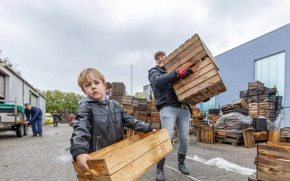 Floris (33) en Olympus (3) uit Oosterwolde halen gratis hout bij failliete Kisten Koning. ‘Probeer hem te temperen’