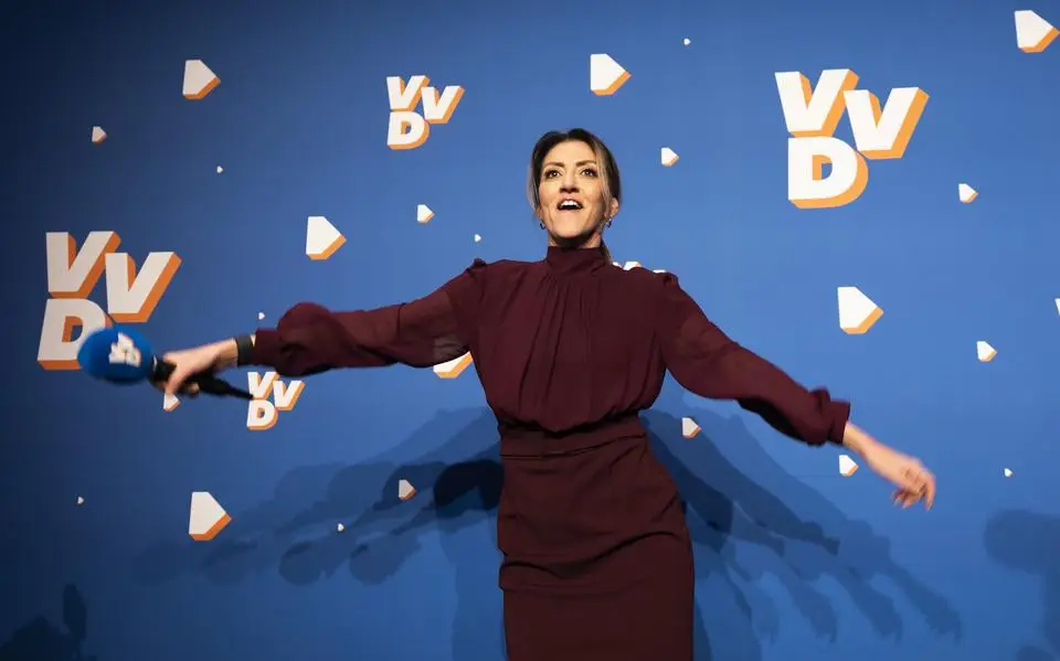 Snel kabinet als VVD bij zinnen komt | opinie