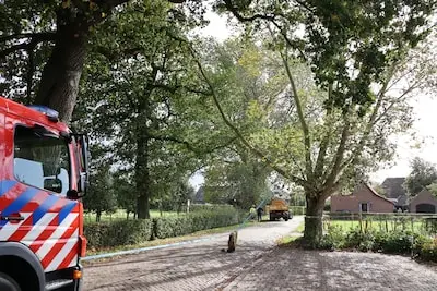 Brandweer al de hele dag druk met schade door storm Amy in Brabant