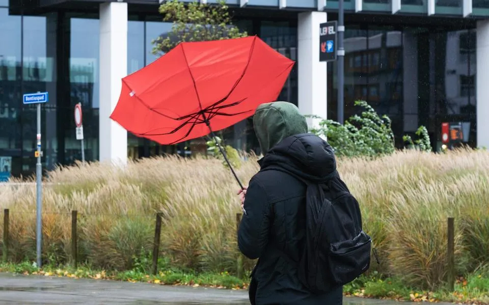 Grote kans op krachtige storm in Nederland: ’Donderdag wordt een dag om in de gaten te houden’