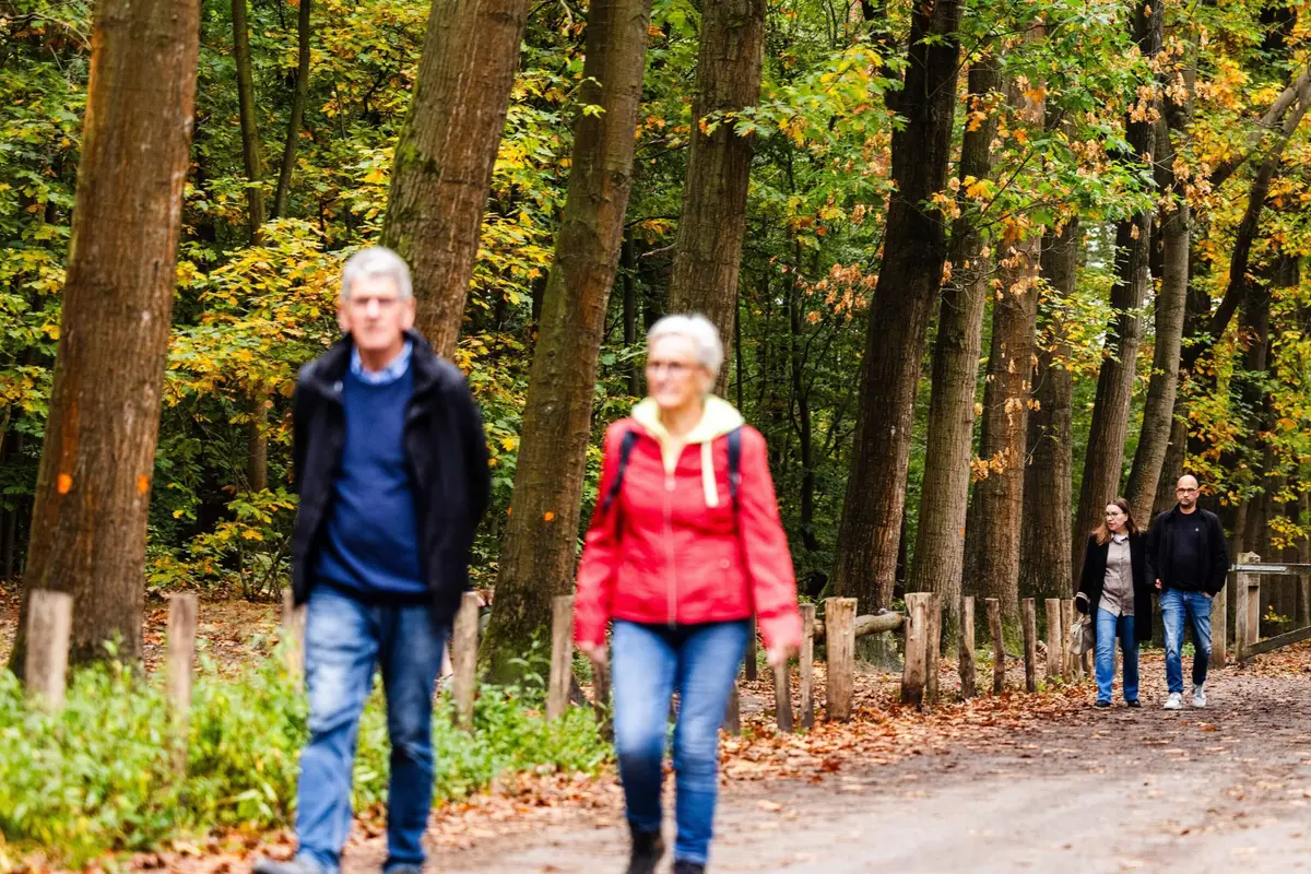 Zaterdag meeste kans op zon, maar hou de paraplu bij de hand
