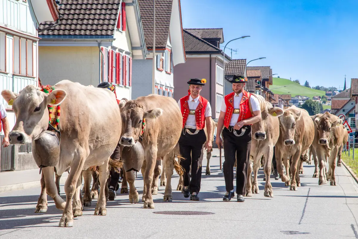 Leren jodelen tijdens de traditionele Alpabfahrt in Appenzell in Zwitserland