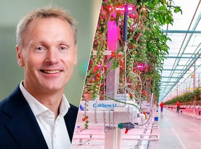 Signify onder Tempelman: hoe Philips’ voormalige lichttak zijn koers wil veranderen