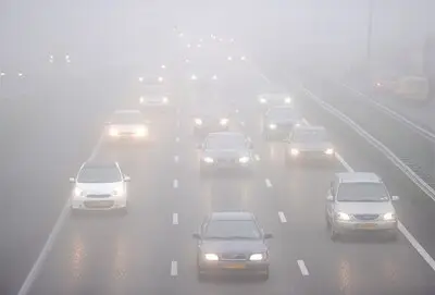 Code geel in Brabant vanwege dichte mist: zicht plaatselijk minder dan 200 meter