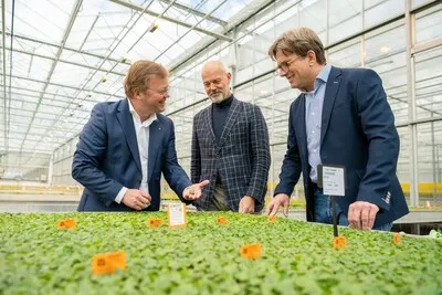 Investeerders redden failliet Schneider Youngplants in Woudrichem: ‘Ik kan tegen vijftig gezinnen zeggen dat ze dóór kunnen’