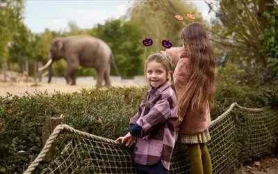 Eindhoven Zoo viert Halloween met BOEH! in de ZOO