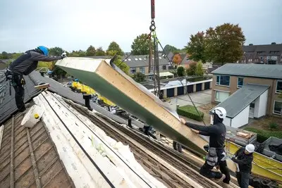 Stro en houtvezel op daken in Mierlo