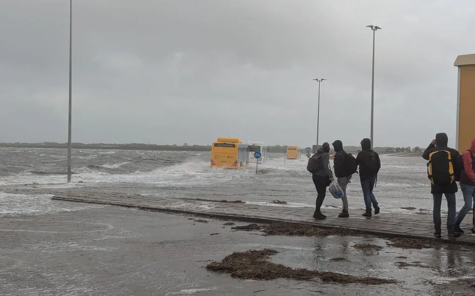 Spannende momenten op propvolle veerboot naar Schiermonnikoog. Mirjam (32): ‘Tot knieën in het water’