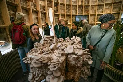 Jeroen Raijmakers presenteert prijswinnend project op Dutch Design Week in Eindhoven