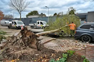Eerste boom waait op auto in Tilburg, nog voor ingaan van code geel: stoep bezaaid met bakstenen