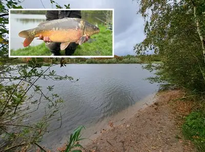 Boa’s letten op karperstroperij, maar waardoor liggen er nou écht dode karpers te stinken op de oever?