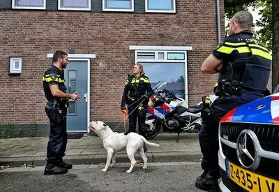 Man (30) aangehouden nadat chihuahua uit Tilburgs huis wordt gegooid, politie vindt drugslab in woning