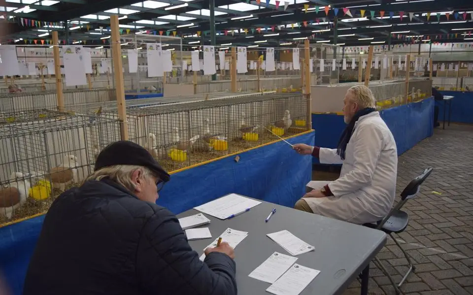Waarom de keurmeester van de Waterpoortshow thuis de kippen opzoekt