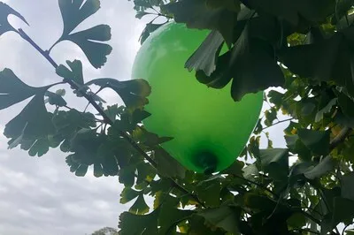 Ballonnenverbod in Heeze-Leende