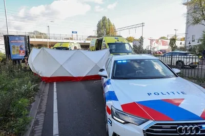 Lezer Ad keek vlak voor ongeval lijdzaam toe, ‘overkill’ aan verkiezingen