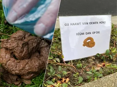 Huismeester Regionaal Archief gaat gebukt onder hurkende honden, maar bordjes moeten hem ontlasten