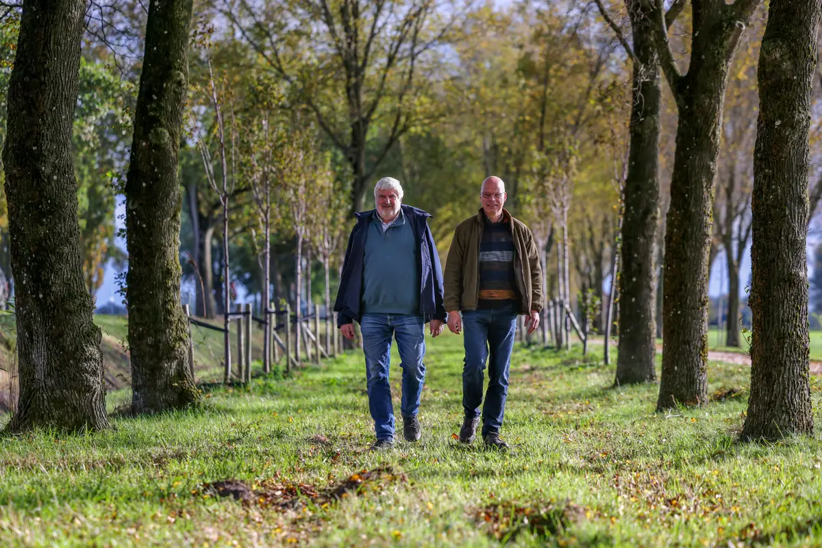 De Iepenwacht redde duizenden bomen, maar de iepziekte ligt nog altijd op de loer