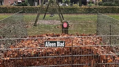Gemeente Best plaatst bladkorven bij grote bomen