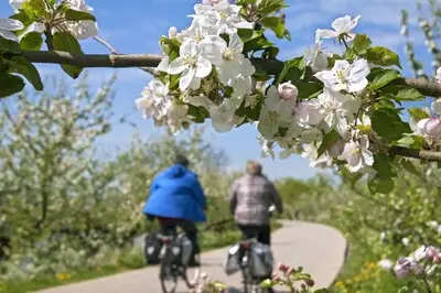 Ontdek de invloed van natuur op gezondheid tijdens lezing in Eindhoven