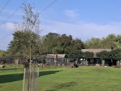 Voortbestaan kinderboerderij Best in handen van gemeenteraad: ‘Gaat twee ton per jaar kosten’