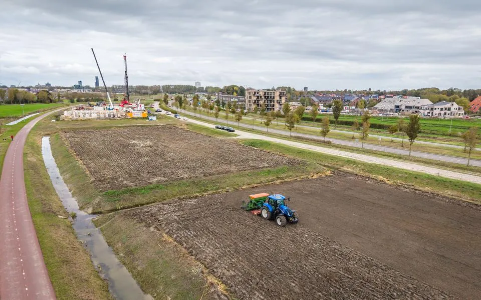 Waarom groeit er straks graan in nieuwbouwwijk Middelsee? ‘We willen graag iets teruggeven aan Leeuwarden’