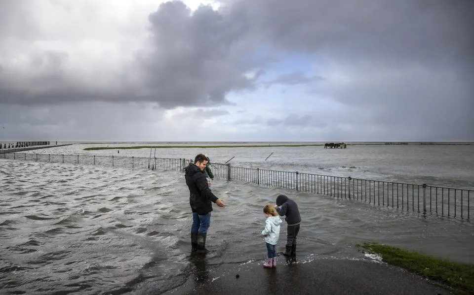Zorgen over Waddenzee stapelen zich op. ‘Maar er is ook hoop’
