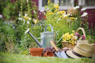 Heeze-Leende deelt gratis slimme tuinsensoren uit