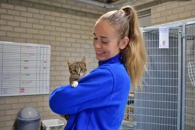 First Dates met kittens in Eindhoven: het was Kattendag bij dierenopvang ROZE