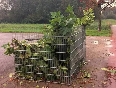 Opgeruimd staat netjes: hier in Eindhoven vind je (binnenkort) bladkorven