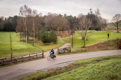 Wandelen met IVN-gidsen: ontdek Gulbergen en Steenoventerrein