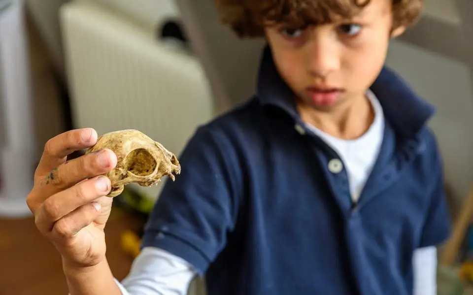 De dierenliefde van Olivier (7) wordt aangewakkerd door tv-biologen als Freek Vonk en Mátyás Bittenbinder