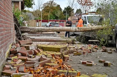 Zeker 15 meldingen van schade door storm Benjamin in Brabant: ‘Maar komende week verwachten we er meer’