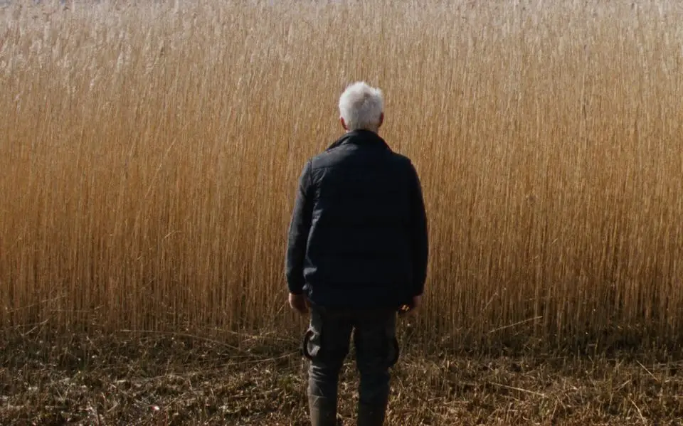 Oscarinzending ‘Rietland’ hypnotiserend goed: Sven Bresser terecht vergeleken met David Lynch
