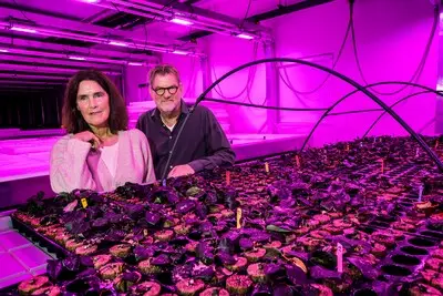 Geheime groente­kwe­ke­rij van Lidl komt aan het licht door hoog opgelopen ruzie met uitvinders